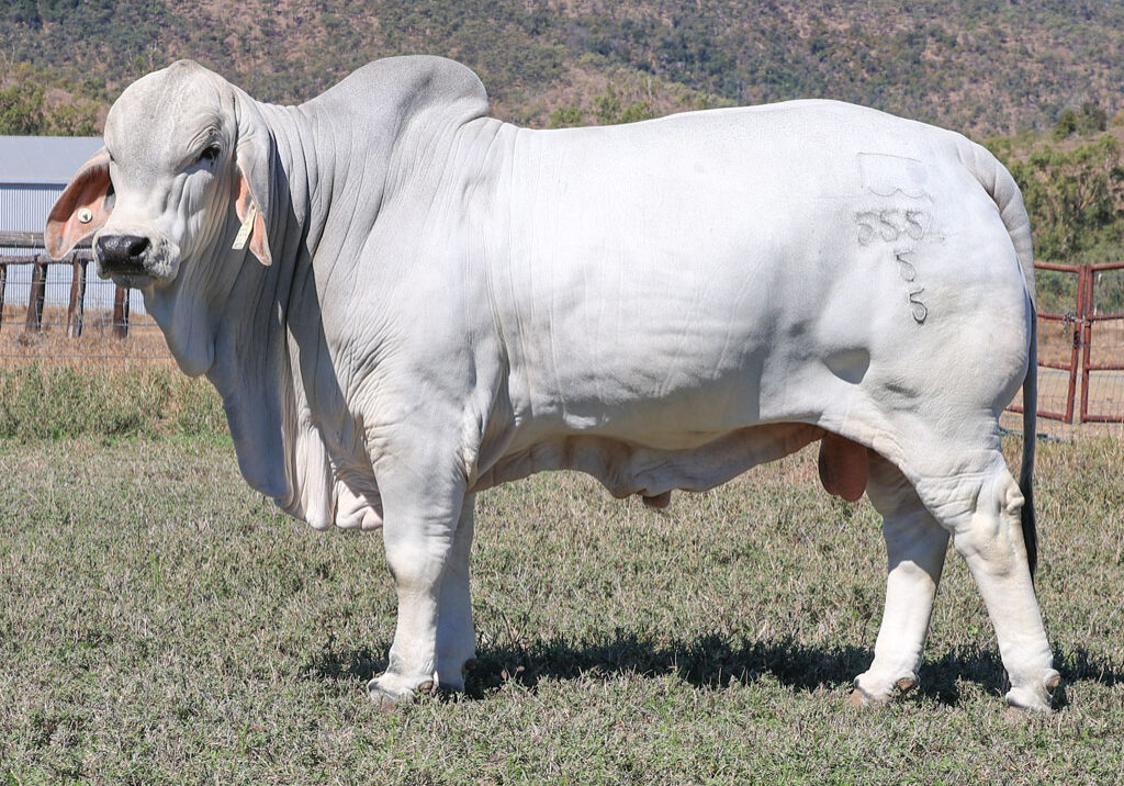 Lot76