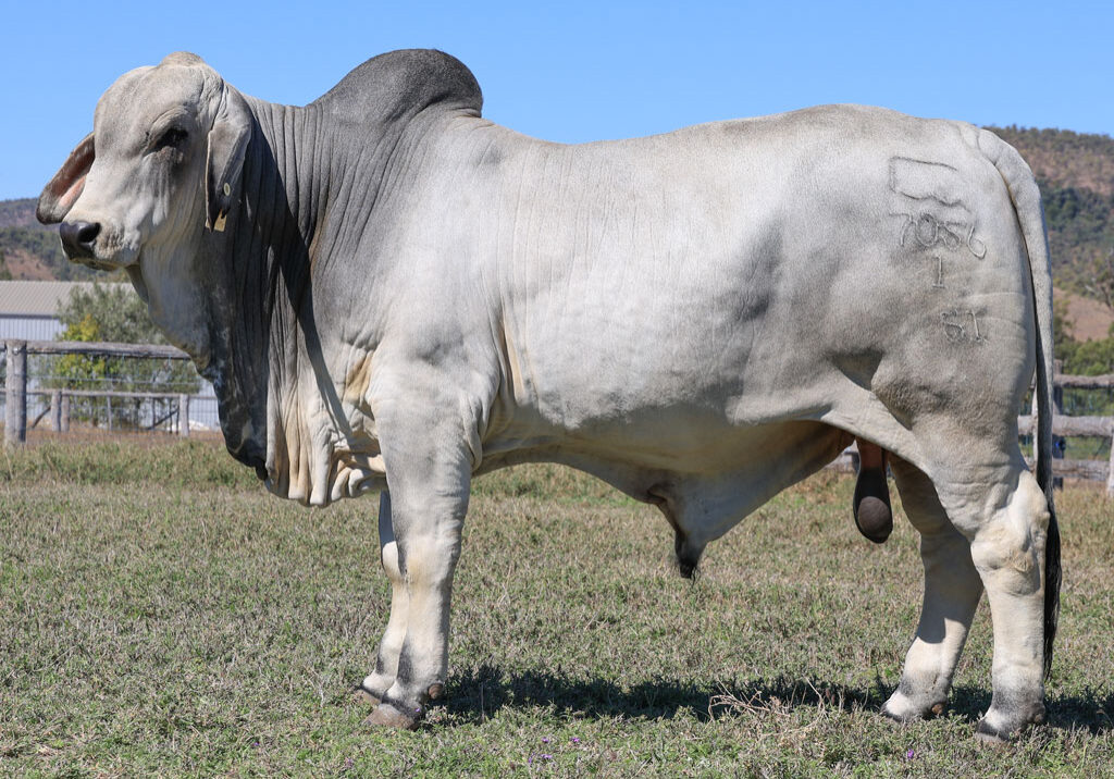Lot78