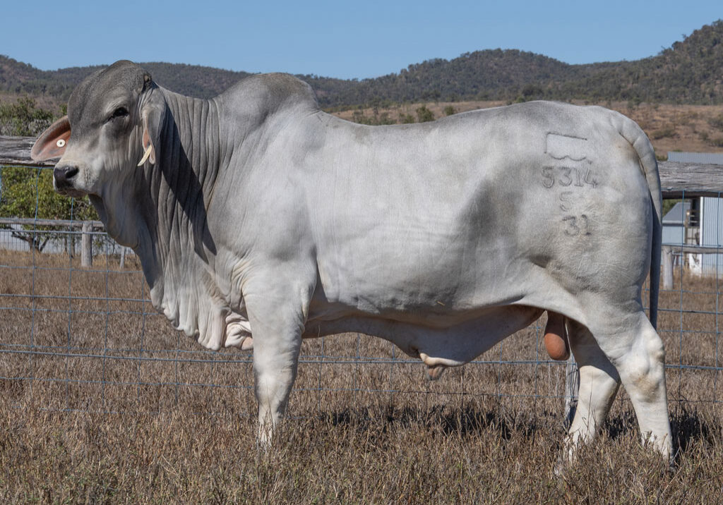 Lot79
