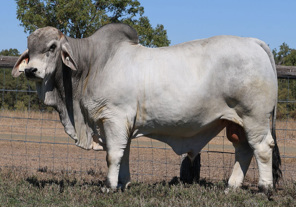 Lot80