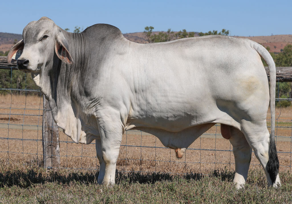 Lot83