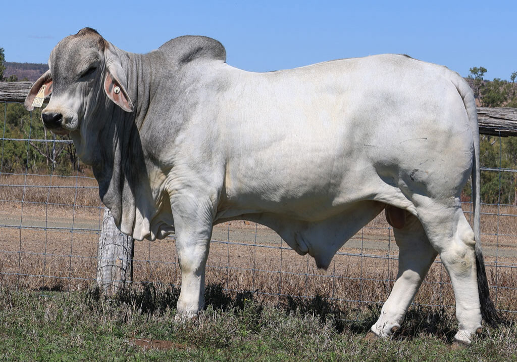 Lot84