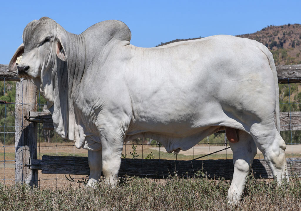 Lot86