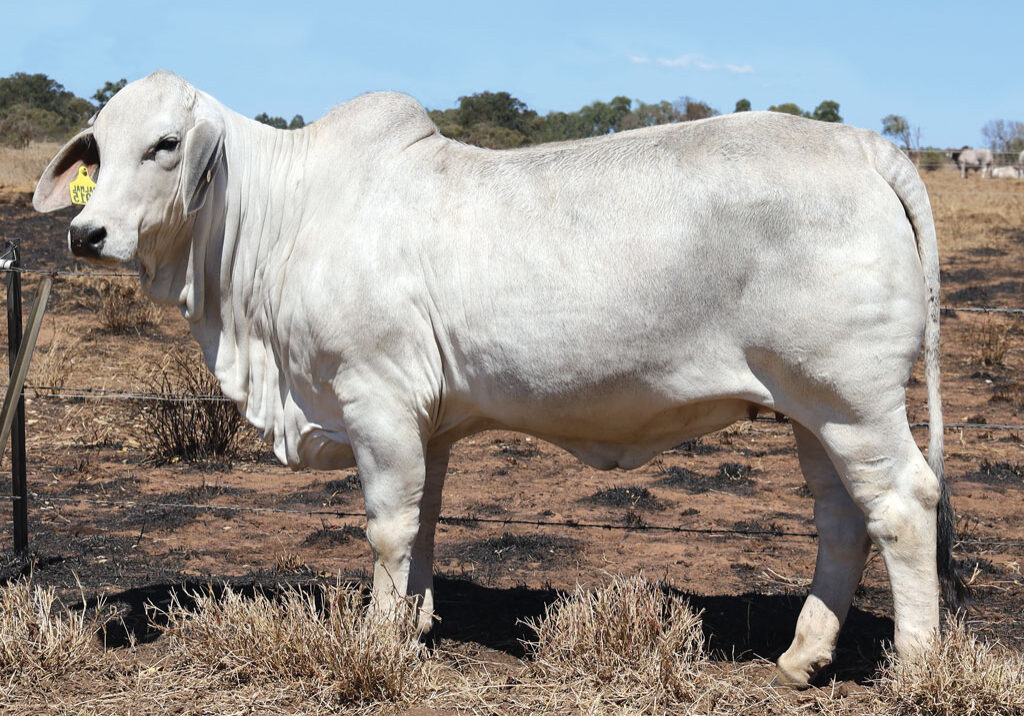 Lot87