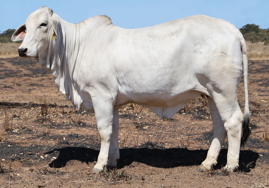Lot88