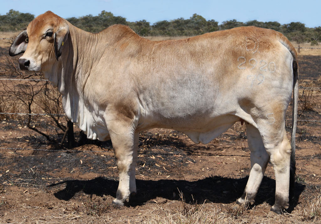Lot89