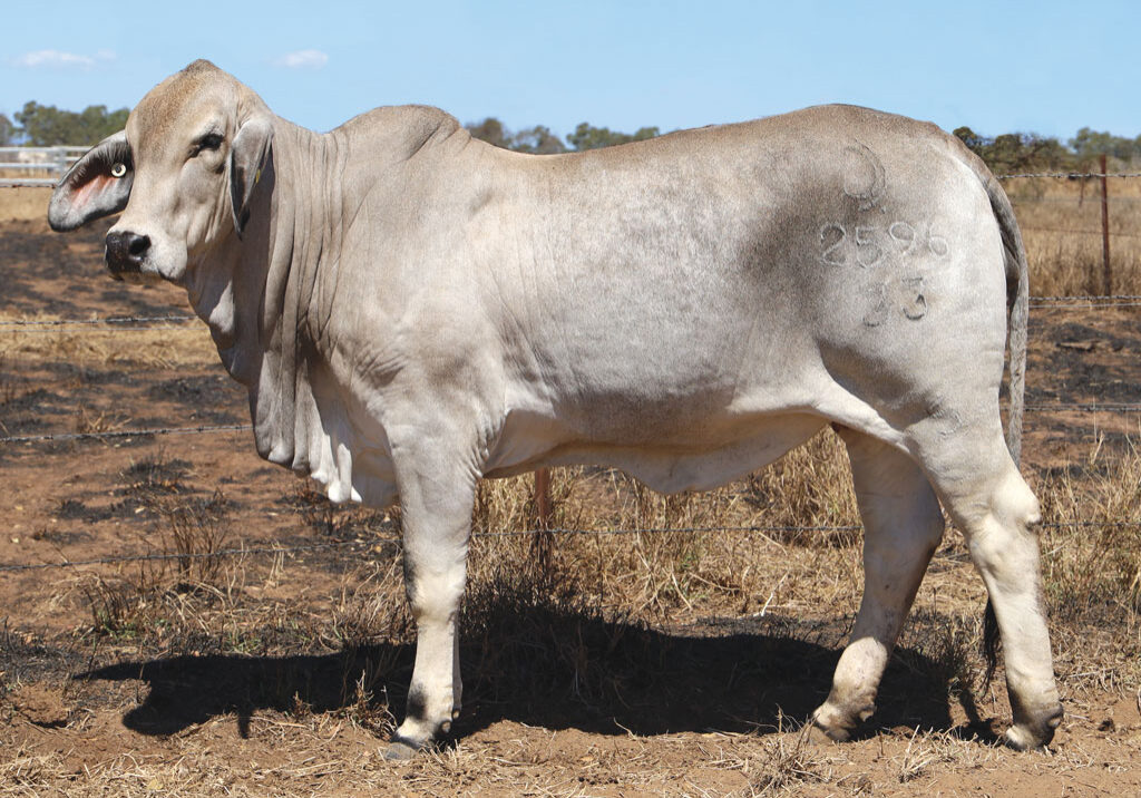 Lot90