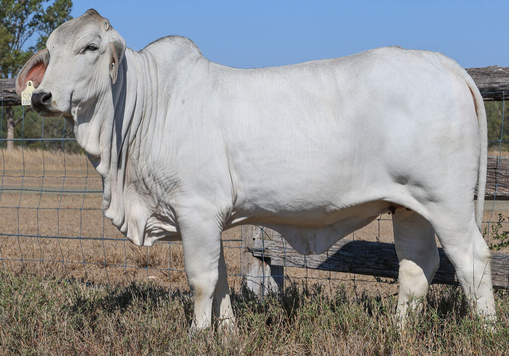 Lot98