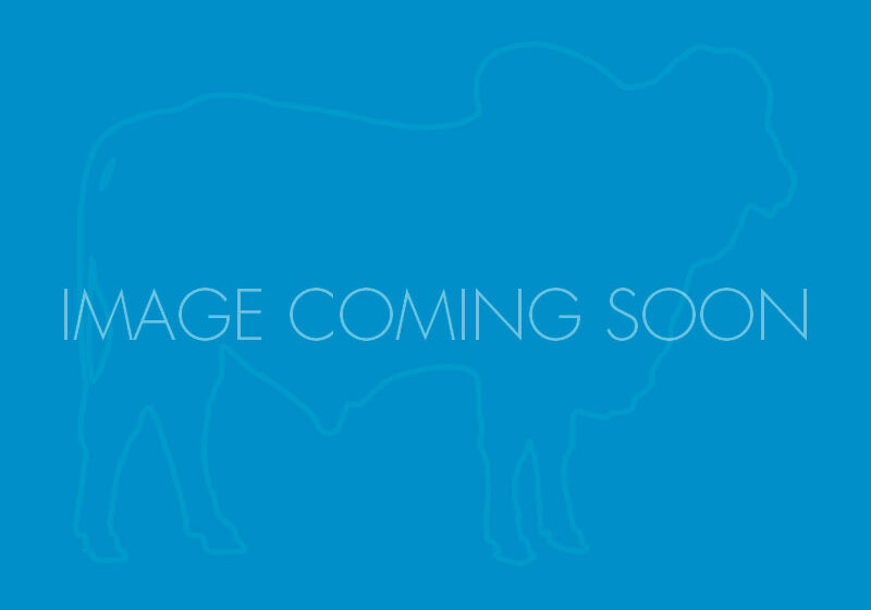 image_coming_soon