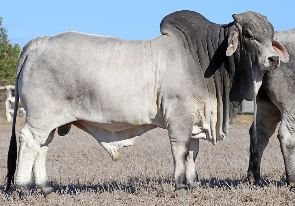 sale_401_14-LANCEFIELD-S-448-MCCALM