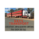 logo raystpt Logo raystpt